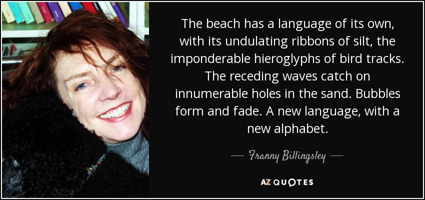The beach has a language of its own, with its undulating ribbons of silt, the imponderable hieroglyphs of bird tracks. The receding waves catch on innumerable holes in the sand. Bubbles form and fade. A new language, with a new alphabet. - Franny Billingsley