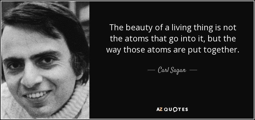 The beauty of a living thing is not the atoms that go into it, but the way those atoms are put together. - Carl Sagan