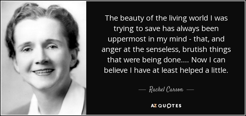 The beauty of the living world I was trying to save has always been uppermost in my mind - that, and anger at the senseless, brutish things that were being done. . . . Now I can believe I have at least helped a little. - Rachel Carson