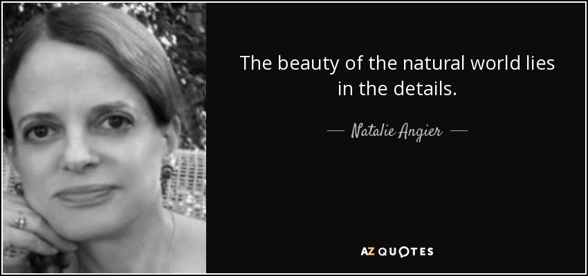 The beauty of the natural world lies in the details. - Natalie Angier