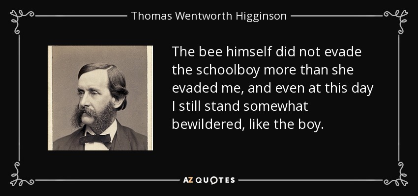 The bee himself did not evade the schoolboy more than she evaded me, and even at this day I still stand somewhat bewildered, like the boy. - Thomas Wentworth Higginson