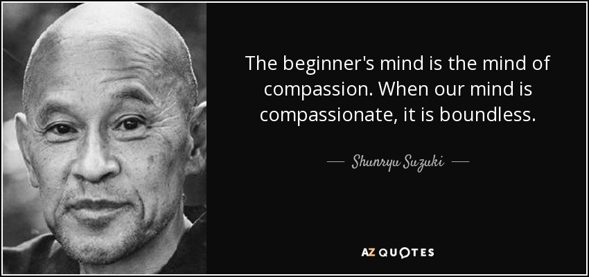 The beginner's mind is the mind of compassion. When our mind is compassionate, it is boundless. - Shunryu Suzuki
