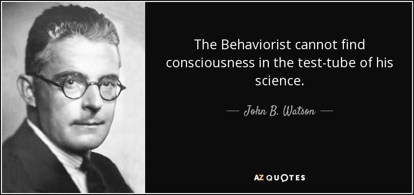 The Behaviorist cannot find consciousness in the test-tube of his science. - John B. Watson