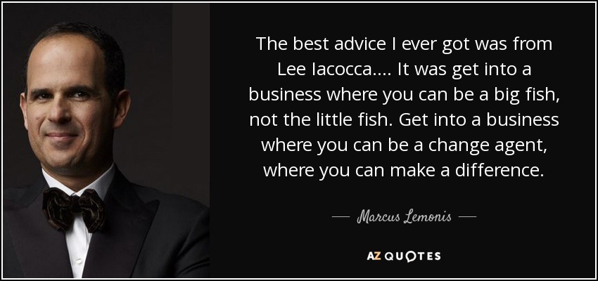 The best advice I ever got was from Lee Iacocca.... It was get into a business where you can be a big fish, not the little fish. Get into a business where you can be a change agent, where you can make a difference. - Marcus Lemonis