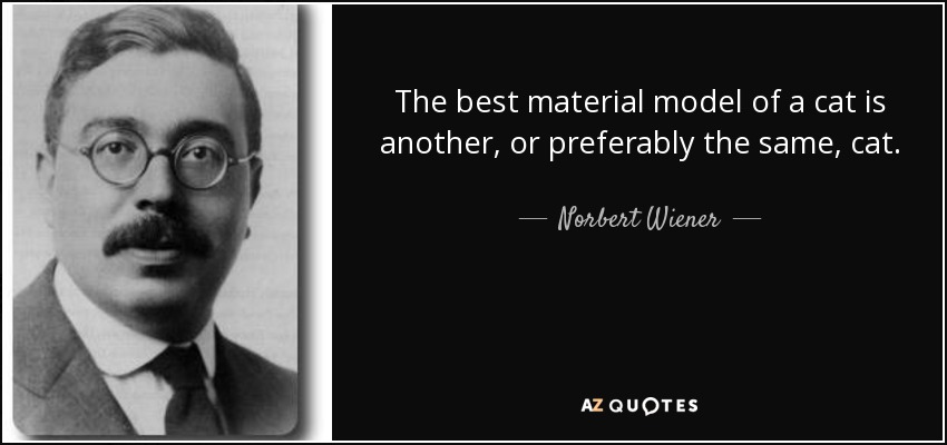 The best material model of a cat is another, or preferably the same, cat. - Norbert Wiener