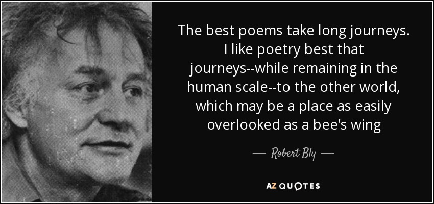 The best poems take long journeys. I like poetry best that journeys--while remaining in the human scale--to the other world, which may be a place as easily overlooked as a bee's wing - Robert Bly