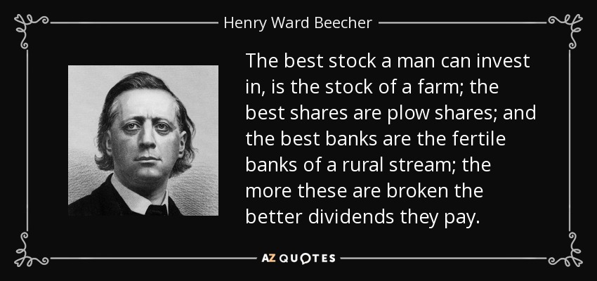 The best stock a man can invest in, is the stock of a farm; the best shares are plow shares; and the best banks are the fertile banks of a rural stream; the more these are broken the better dividends they pay. - Henry Ward Beecher