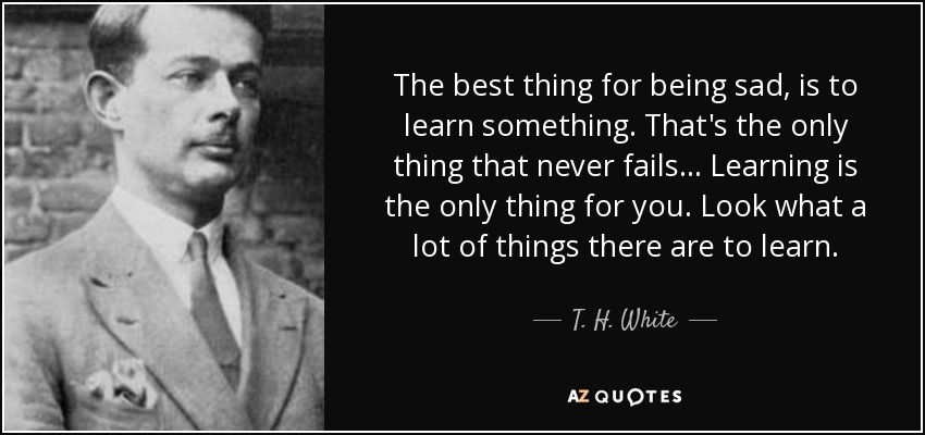 The best thing for being sad, is to learn something. That's the only thing that never fails ... Learning is the only thing for you. Look what a lot of things there are to learn. - T. H. White