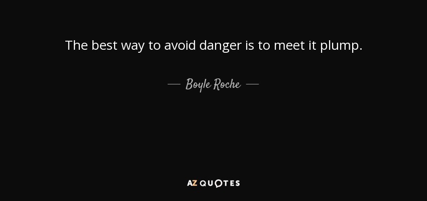 The best way to avoid danger is to meet it plump. - Boyle Roche