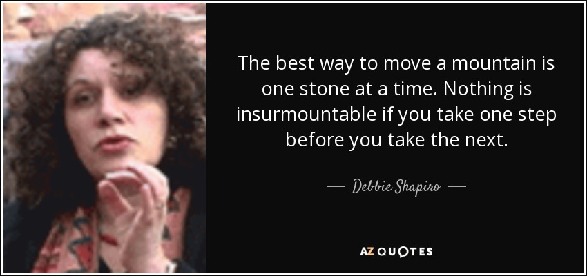 The best way to move a mountain is one stone at a time. Nothing is insurmountable if you take one step before you take the next. - Debbie Shapiro