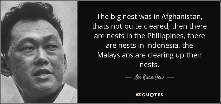 The big nest was in Afghanistan, thats not quite cleared, then there are nests in the Philippines, there are nests in Indonesia, the Malaysians are clearing up their nests. - Lee Kuan Yew