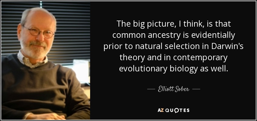 The big picture, I think, is that common ancestry is evidentially prior to natural selection in Darwin's theory and in contemporary evolutionary biology as well. - Elliott Sober