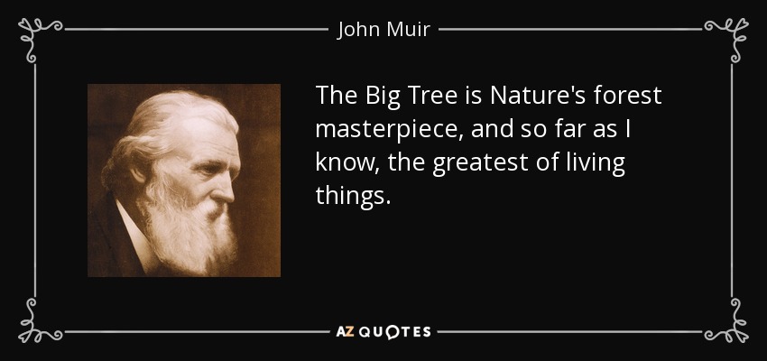 The Big Tree is Nature's forest masterpiece, and so far as I know, the greatest of living things. - John Muir