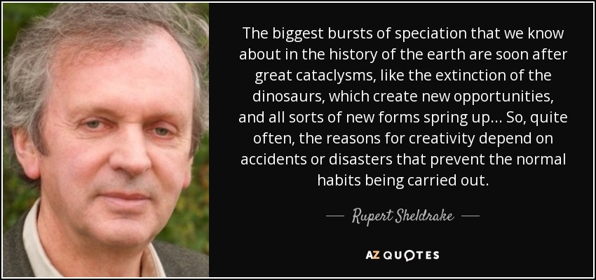 The biggest bursts of speciation that we know about in the history of the earth are soon after great cataclysms, like the extinction of the dinosaurs, which create new opportunities, and all sorts of new forms spring up... So, quite often, the reasons for creativity depend on accidents or disasters that prevent the normal habits being carried out. - Rupert Sheldrake