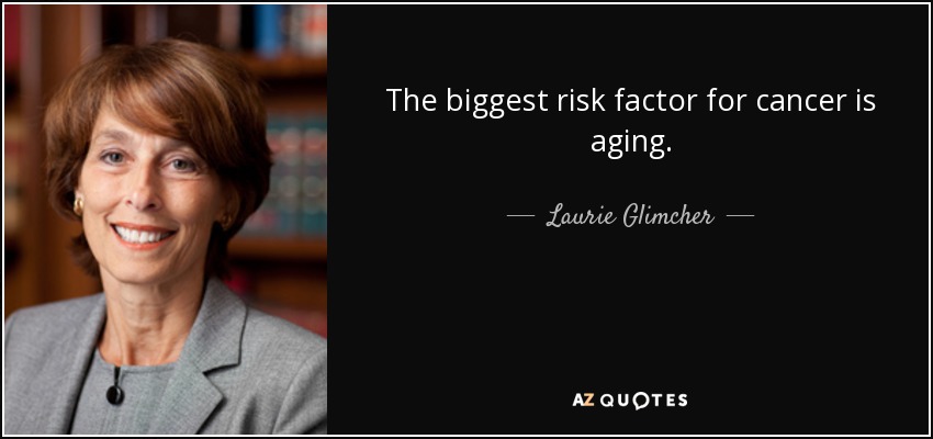 The biggest risk factor for cancer is aging. - Laurie Glimcher