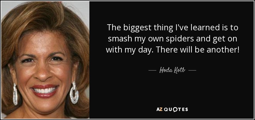 The biggest thing I've learned is to smash my own spiders and get on with my day. There will be another! - Hoda Kotb