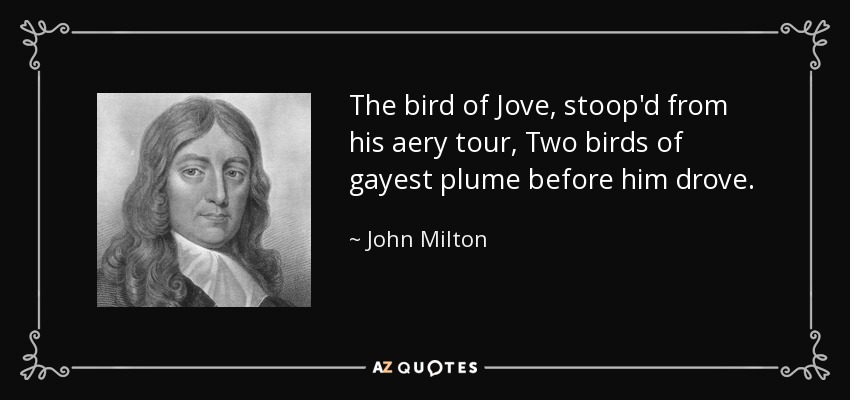 The bird of Jove, stoop'd from his aery tour, Two birds of gayest plume before him drove. - John Milton