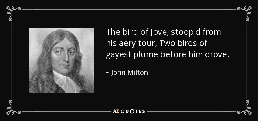 The bird of Jove, stoop'd from his aery tour, Two birds of gayest plume before him drove. - John Milton