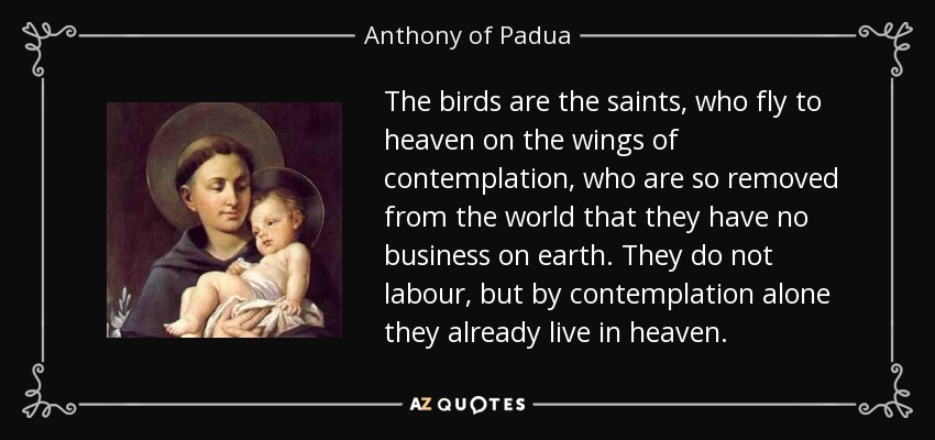 The birds are the saints, who fly to heaven on the wings of contemplation, who are so removed from the world that they have no business on earth. They do not labour, but by contemplation alone they already live in heaven. - Anthony of Padua