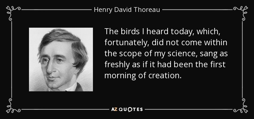 The birds I heard today, which, fortunately, did not come within the scope of my science, sang as freshly as if it had been the first morning of creation. - Henry David Thoreau