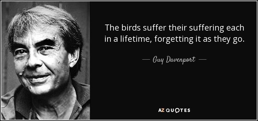The birds suffer their suffering each in a lifetime, forgetting it as they go. - Guy Davenport