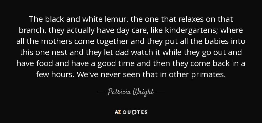 The black and white lemur, the one that relaxes on that branch, they actually have day care, like kindergartens; where all the mothers come together and they put all the babies into this one nest and they let dad watch it while they go out and have food and have a good time and then they come back in a few hours. We've never seen that in other primates. - Patricia Wright