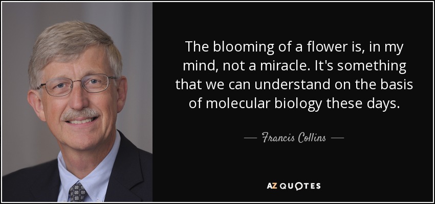 The blooming of a flower is, in my mind, not a miracle. It's something that we can understand on the basis of molecular biology these days. - Francis Collins