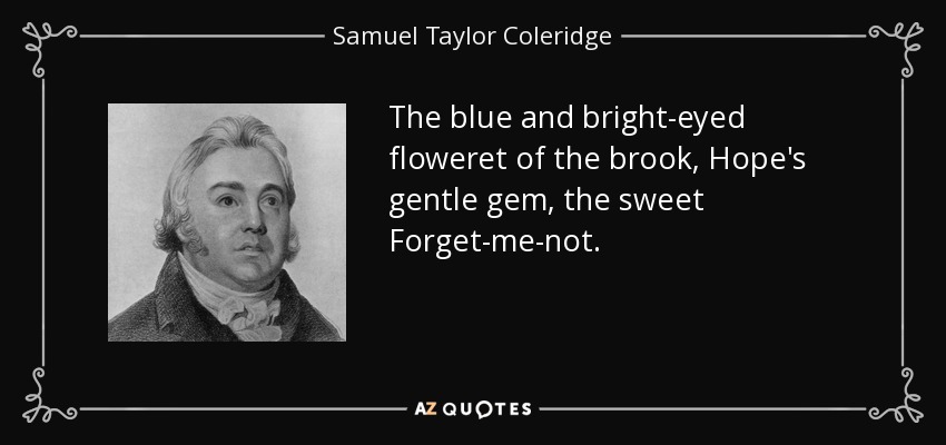The blue and bright-eyed floweret of the brook, Hope's gentle gem, the sweet Forget-me-not. - Samuel Taylor Coleridge