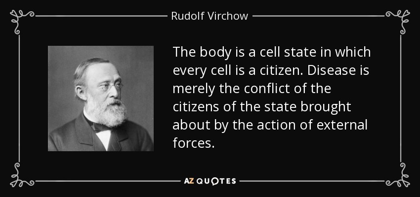 The body is a cell state in which every cell is a citizen. Disease is merely the conflict of the citizens of the state brought about by the action of external forces. - Rudolf Virchow