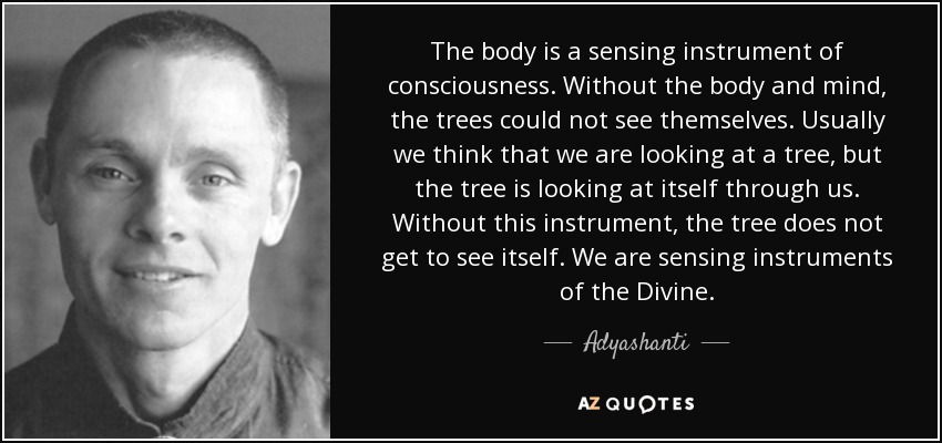 The body is a sensing instrument of consciousness. Without the body and mind, the trees could not see themselves. Usually we think that we are looking at a tree, but the tree is looking at itself through us. Without this instrument, the tree does not get to see itself. We are sensing instruments of the Divine. - Adyashanti