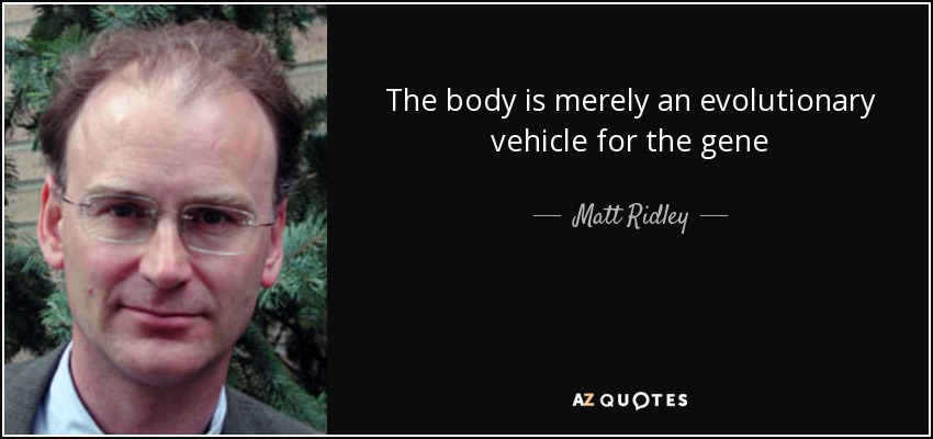 The body is merely an evolutionary vehicle for the gene - Matt Ridley
