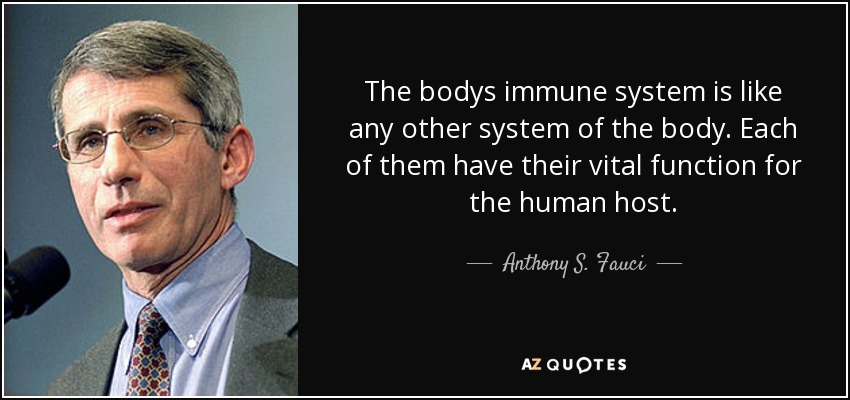The bodys immune system is like any other system of the body. Each of them have their vital function for the human host. - Anthony S. Fauci