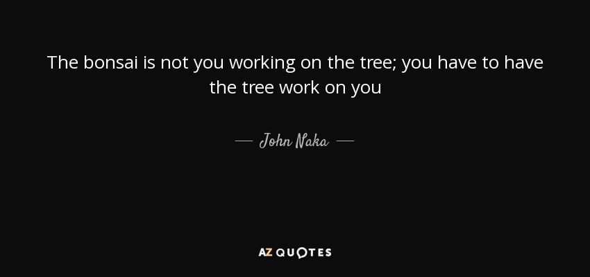 The bonsai is not you working on the tree; you have to have the tree work on you - John Naka