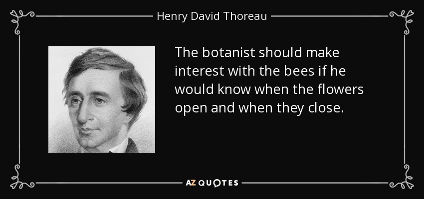 The botanist should make interest with the bees if he would know when the flowers open and when they close. - Henry David Thoreau