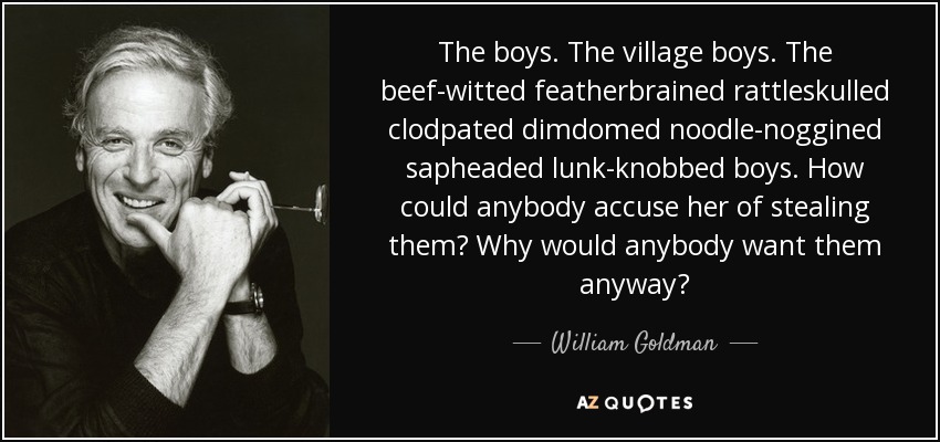 The boys. The village boys. The beef-witted featherbrained rattleskulled clodpated dimdomed noodle-noggined sapheaded lunk-knobbed boys. How could anybody accuse her of stealing them? Why would anybody want them anyway? - William Goldman