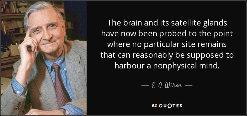 The brain and its satellite glands have now been probed to the point where no particular site remains that can reasonably be supposed to harbour a nonphysical mind. - E. O. Wilson