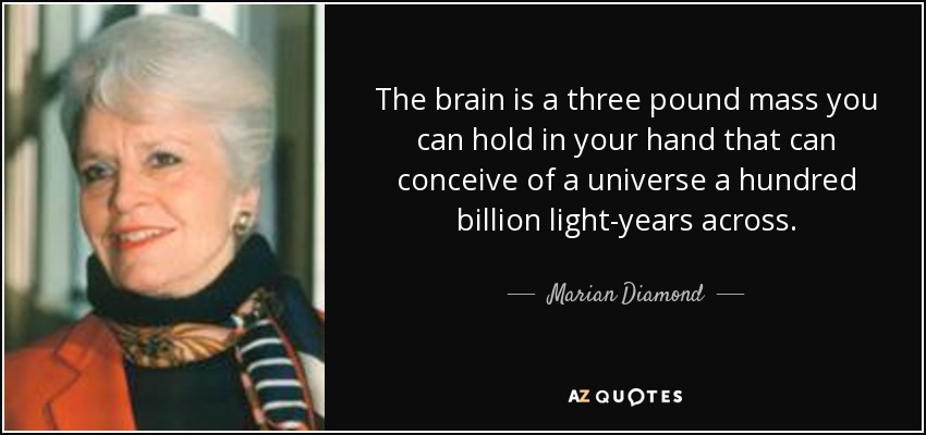 The brain is a three pound mass you can hold in your hand that can conceive of a universe a hundred billion light-years across. - Marian Diamond