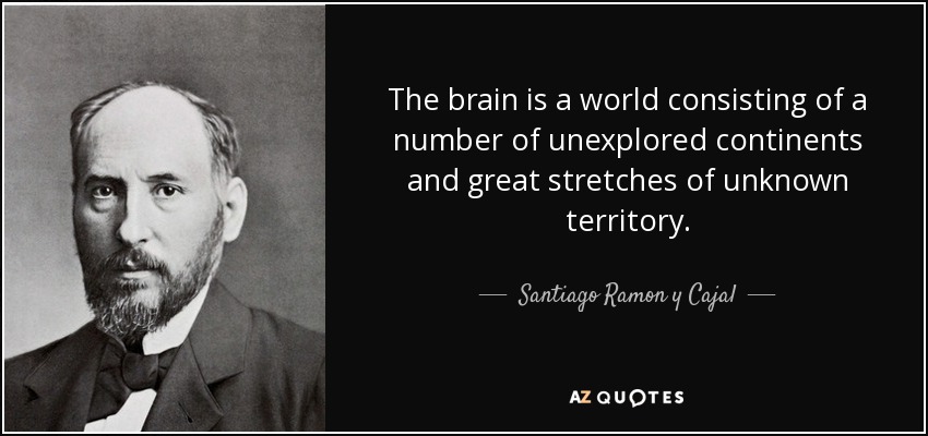 The brain is a world consisting of a number of unexplored continents and great stretches of unknown territory. - Santiago Ramon y Cajal