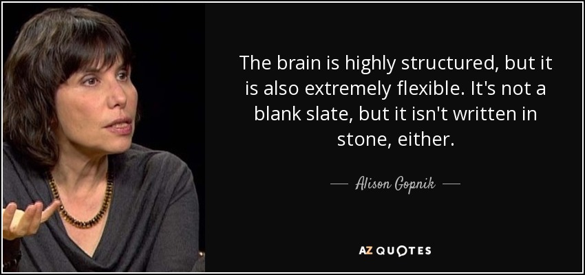 The brain is highly structured, but it is also extremely flexible. It's not a blank slate, but it isn't written in stone, either. - Alison Gopnik