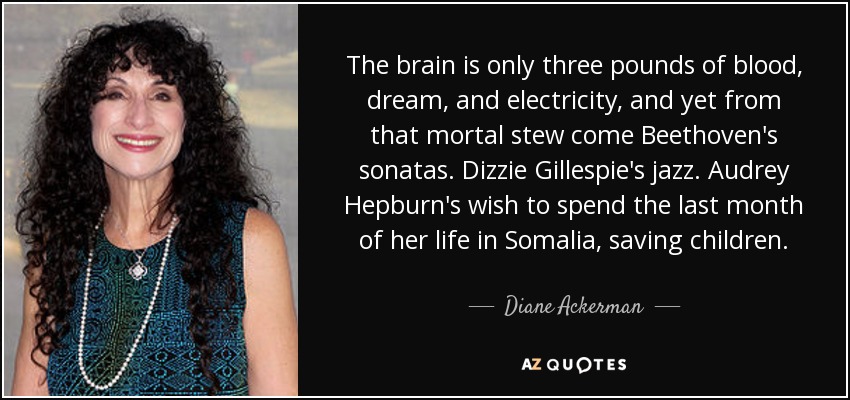 The brain is only three pounds of blood, dream, and electricity, and yet from that mortal stew come Beethoven's sonatas. Dizzie Gillespie's jazz. Audrey Hepburn's wish to spend the last month of her life in Somalia, saving children. - Diane Ackerman