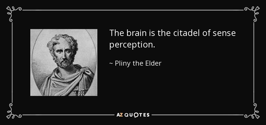 The brain is the citadel of sense perception. - Pliny the Elder