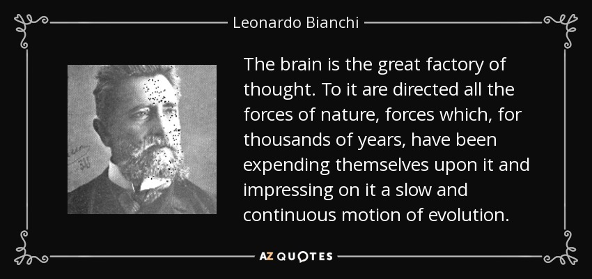 The brain is the great factory of thought. To it are directed all the forces of nature, forces which, for thousands of years, have been expending themselves upon it and impressing on it a slow and continuous motion of evolution. - Leonardo Bianchi