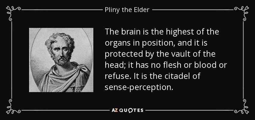 The brain is the highest of the organs in position, and it is protected by the vault of the head; it has no flesh or blood or refuse. It is the citadel of sense-perception. - Pliny the Elder