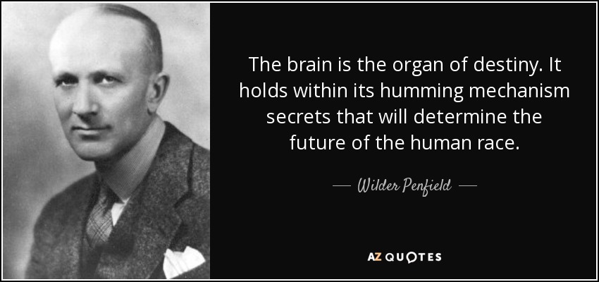 The brain is the organ of destiny. It holds within its humming mechanism secrets that will determine the future of the human race. - Wilder Penfield