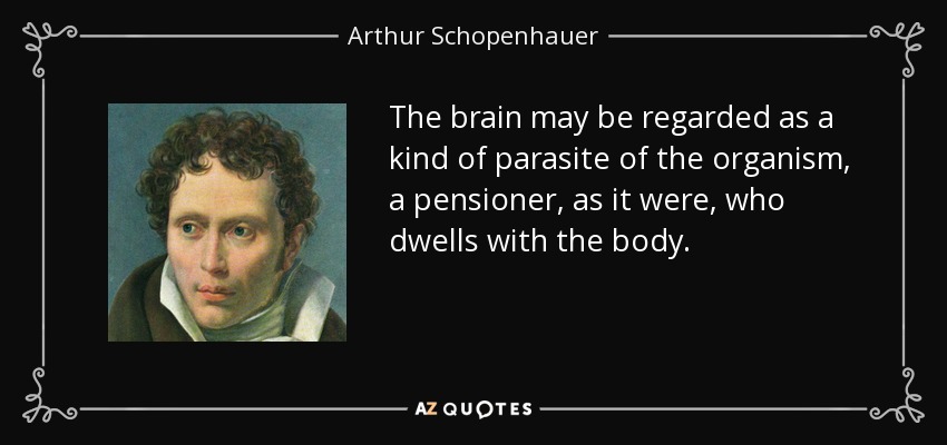 The brain may be regarded as a kind of parasite of the organism, a pensioner, as it were, who dwells with the body. - Arthur Schopenhauer