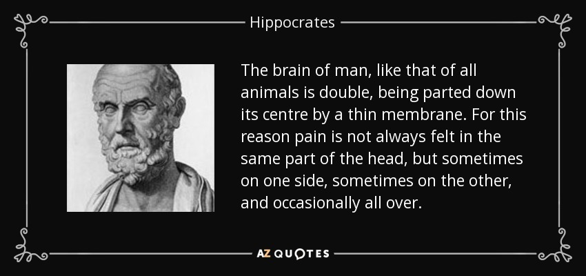 The brain of man, like that of all animals is double, being parted down its centre by a thin membrane. For this reason pain is not always felt in the same part of the head, but sometimes on one side, sometimes on the other, and occasionally all over. - Hippocrates
