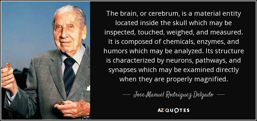 The brain, or cerebrum, is a material entity located inside the skull which may be inspected, touched, weighed, and measured. It is composed of chemicals, enzymes, and humors which may be analyzed. Its structure is characterized by neurons, pathways, and synapses which may be examined directly when they are properly magnified. - Jose Manuel Rodriguez Delgado