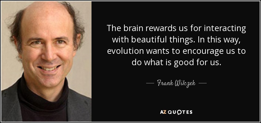 The brain rewards us for interacting with beautiful things. In this way, evolution wants to encourage us to do what is good for us. - Frank Wilczek