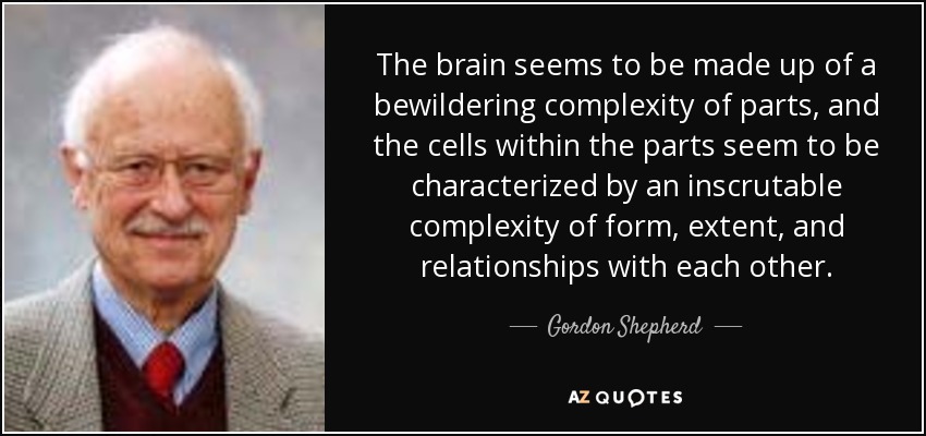 The brain seems to be made up of a bewildering complexity of parts, and the cells within the parts seem to be characterized by an inscrutable complexity of form, extent, and relationships with each other. - Gordon Shepherd