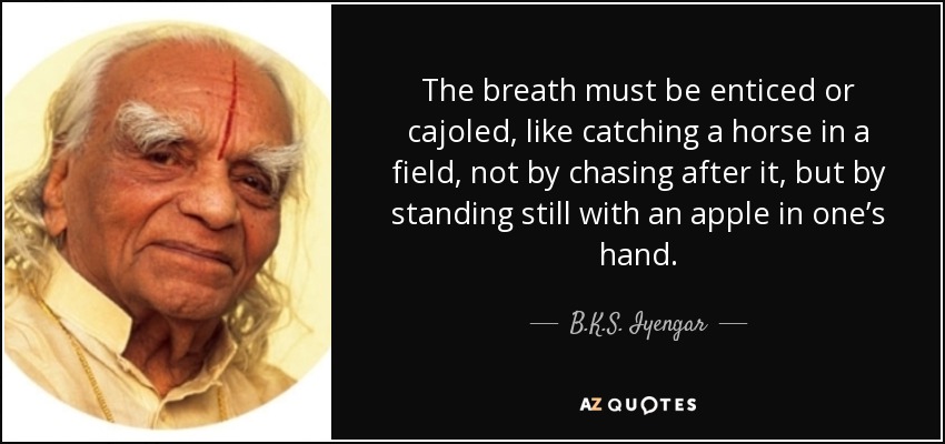 The breath must be enticed or cajoled, like catching a horse in a field, not by chasing after it, but by standing still with an apple in one’s hand. - B.K.S. Iyengar
